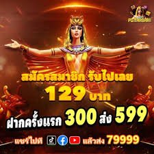Pengalaman taruhan olahraga dan kasino online profesional zk8